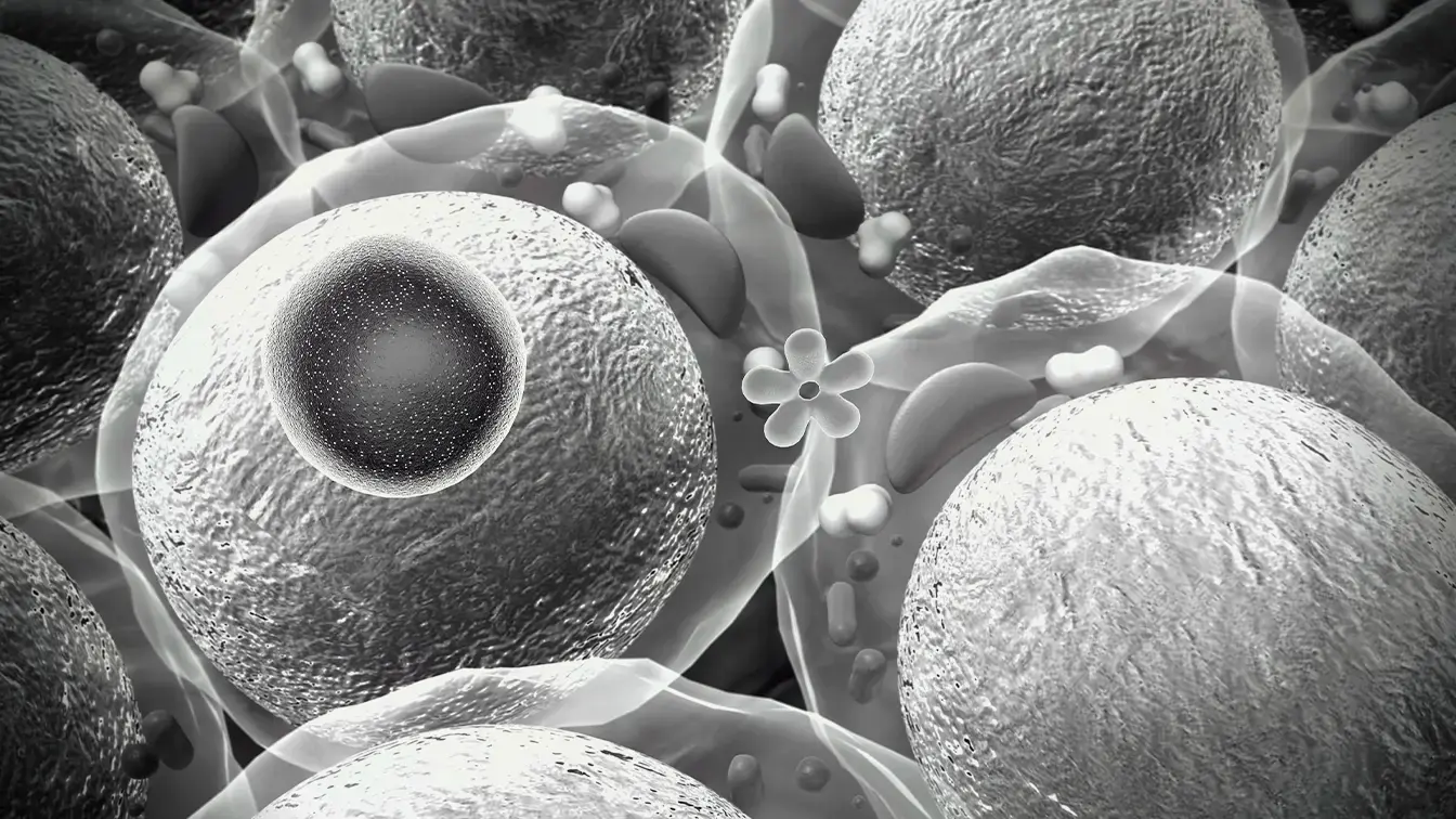 glp-1 market size 2024 GLP-1 Analogues Market Size to Hit USD 879.90 Billion by 2034 glp-1 market size 2024 GLP-1 Analogues Market Size to Hit USD 879.90 Billion by 2034